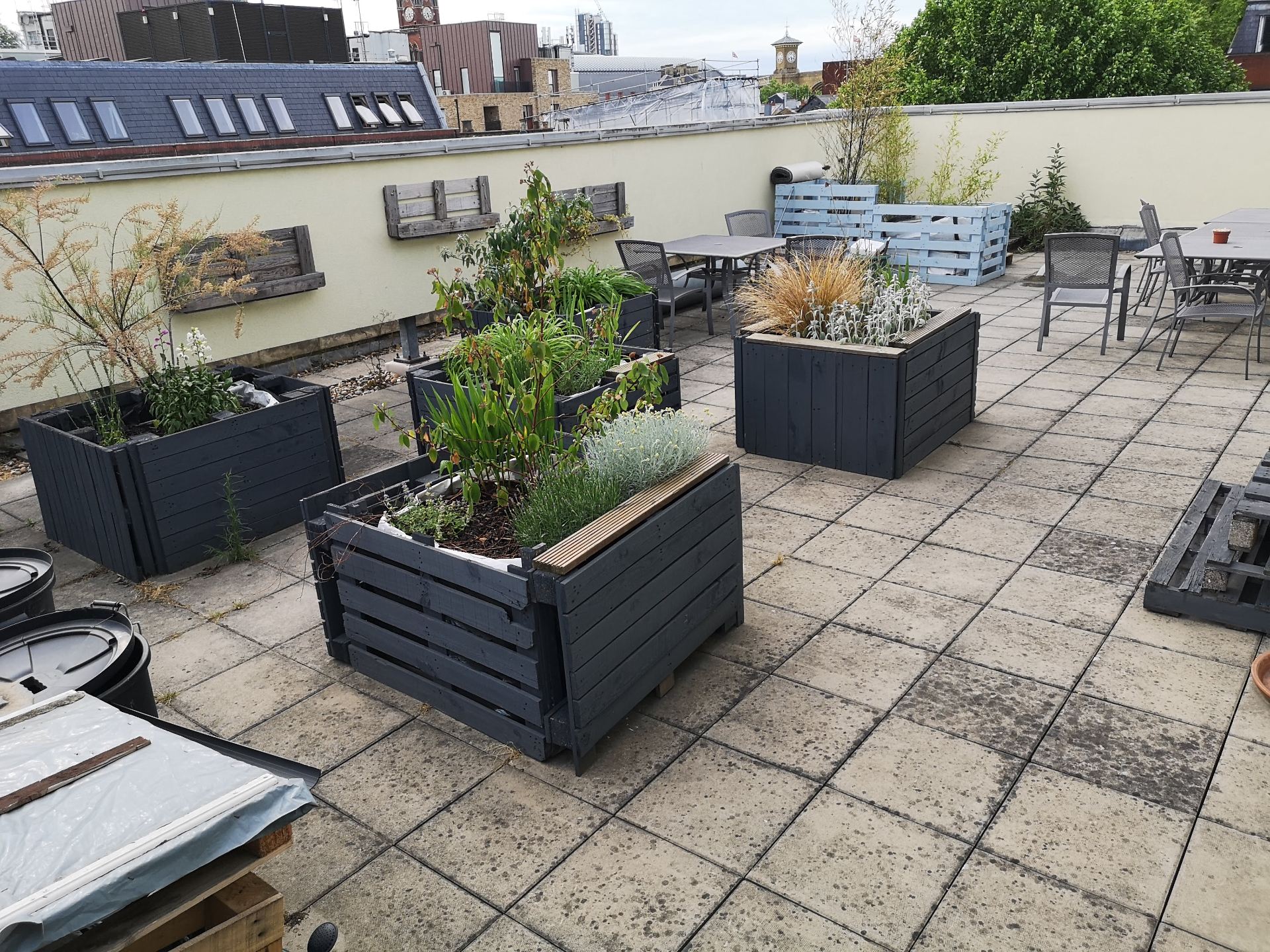 UCL ear institute roof garden