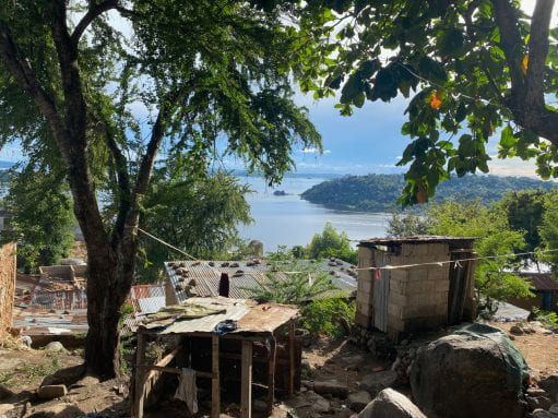 Settlements underneath trees with a view of Lake Victoria in Tanzania