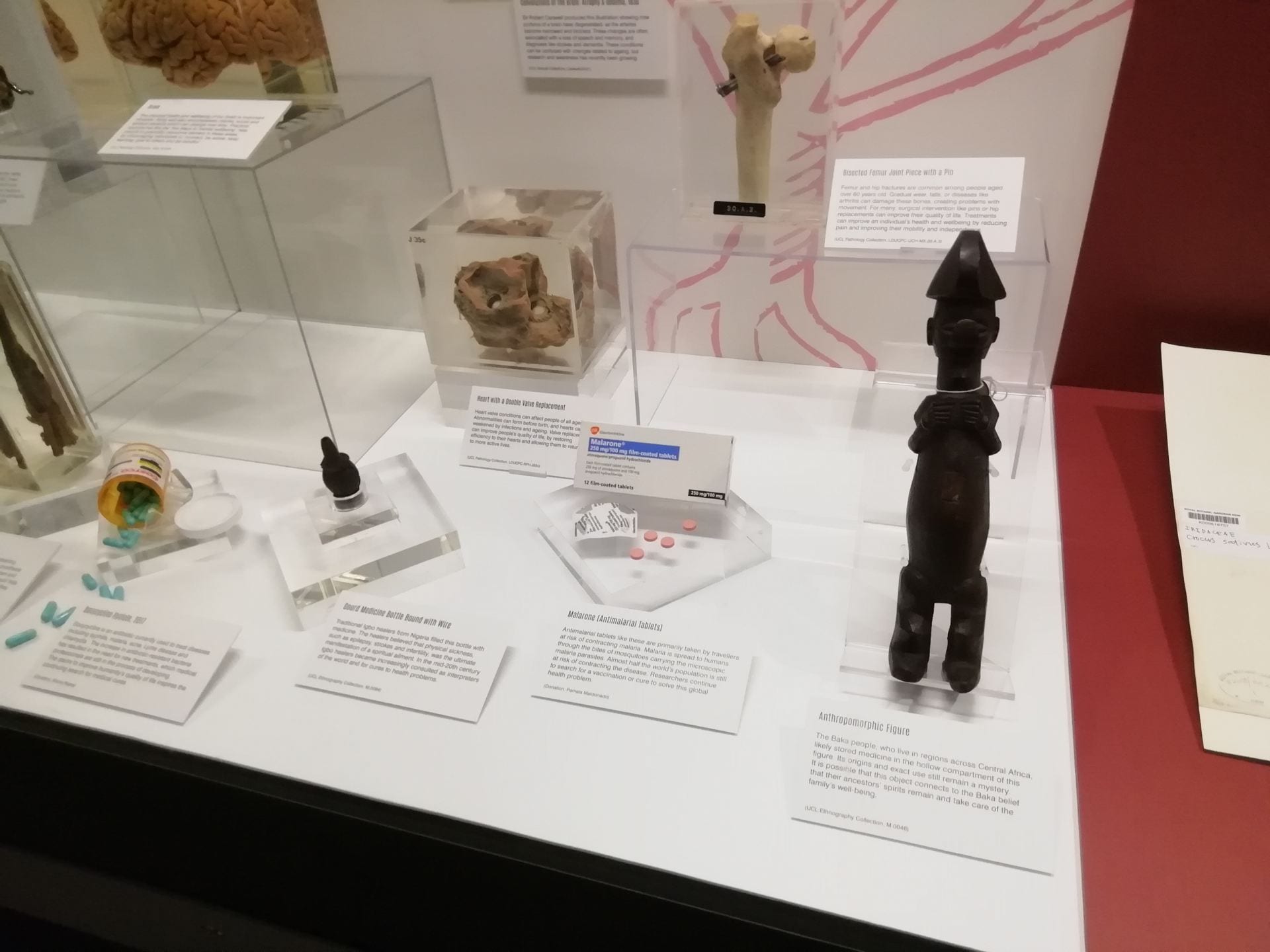 Some objects currently on display outside of UCL Anthropology