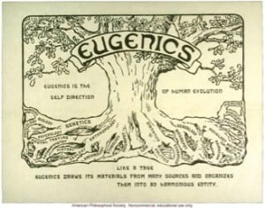 Eugenics tree, 1921
