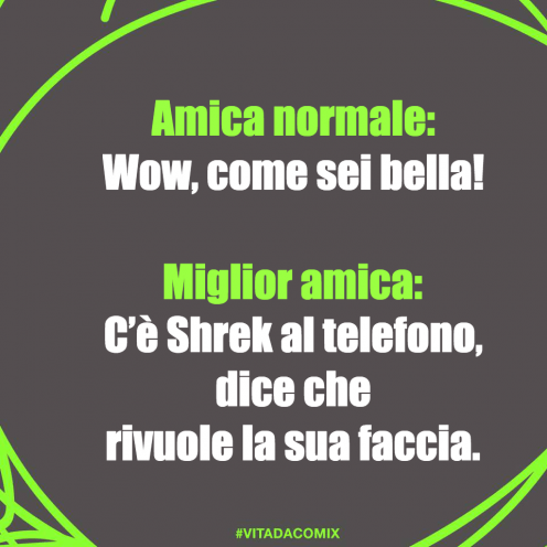 'Normal friend: 'Wow, how beautiful you are!' / Bestt friend: It's Shrek at the phone says he wants back his face.' Meme shared on Facebook by Comix