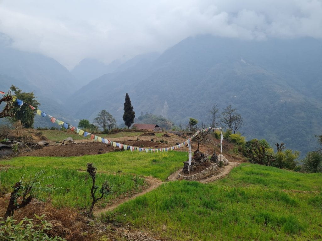 photograph of Nepalese hillside. Grass in foreground with bunting draped across a stone feature. Mountains in background