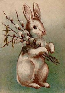 Easter_Bunny_Postcard_1907