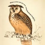 Reading Lists Owl
