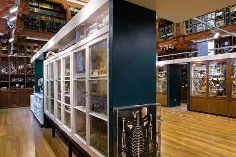 A view of the new Grant Museum of Zoology in the Rockerfeller Building