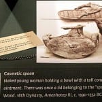 Example of the label showing other finds