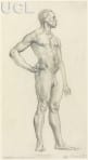 Study of a Male Nude, standing to right, with arm resting on hip, UCL Art Museum SDC6271