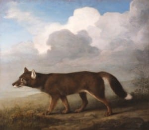 ‘Portrait of a Large Dog’ (Dingo) by George Stubbs, 1772. Private collection courtesy of Nevill Keating Pictures" 