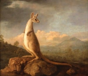 The Kongouro from New Holland (Kangaroo), George Stubbs (1772). ZBA5754 (L6685-001). National Maritime Museum, Greenwich, London* 