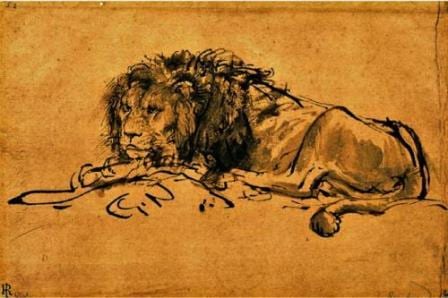 This 17th century illustration by the dutch artist Rembrandt Harmenszoon van Rijn is allegedly of a Cape Lion.  (Copyright expired).