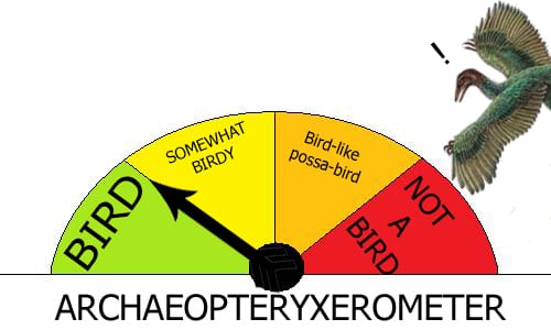 The amazing archaeopteryxerometer