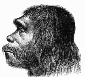 First reconstruction of Neanderthal man by Hermann Schaaffhausen (1888)