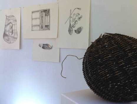 Sawdust & Threads exhibition in the UCL North Lodge on Gower Street
