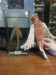 Knitted flying fish