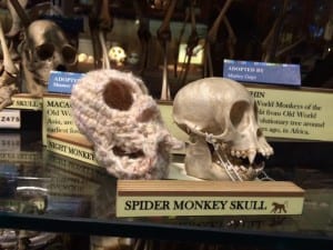 knitted spider monkey skull