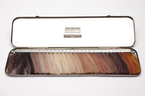 Dr. Eugen Fischer's Haarfarbentafel, or hair colour scale.