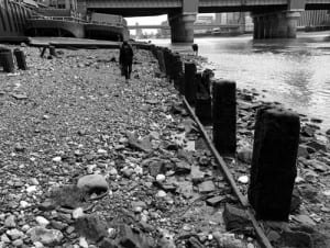 Searching for creatures along the foreshore of the River Thames (c) Eleanor Morgan