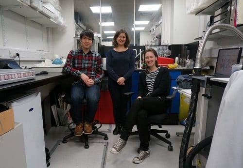 The UCL PACE Conservation team, from left to right Young Woo, Susi Pancaldo and Emilia Kingham.