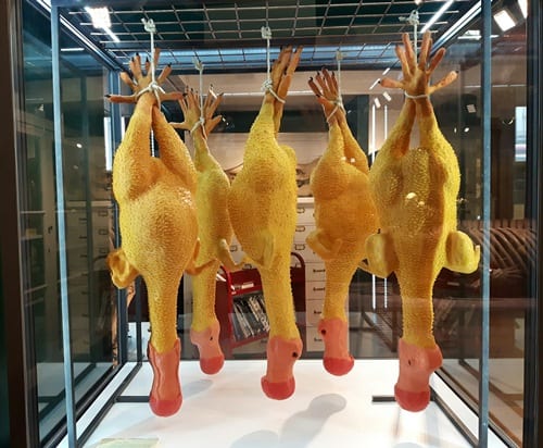 Dead as a Dodo © Will Spratley. A collection of rubber-chicken like dodo models, strung up as if in a butcher's window.