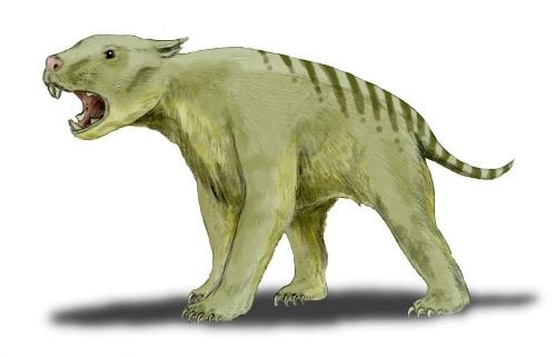 Reconstruction of the marsupial lion, by Nobu Tamura (http://spinops.blogspot.com), CC-BY-3.0; via Wikimedia Commons