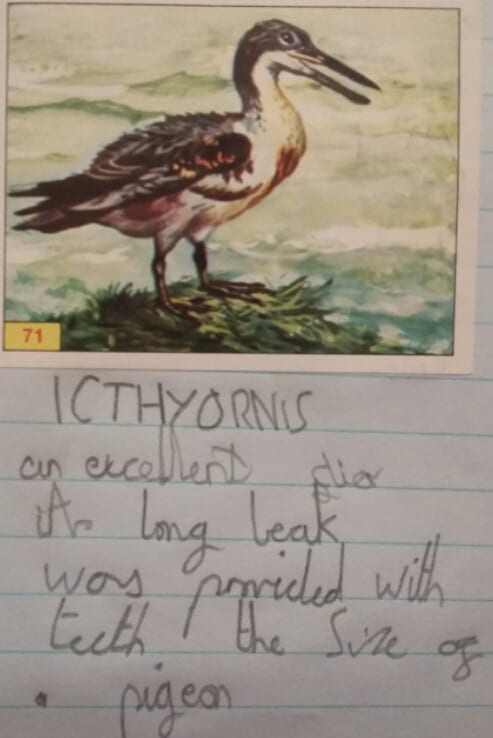 (C) Dinosaur Spotting Handbook by Mark Carnall aged 10.