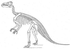 Othniel Marsh's Iguanodon reconstruction, 1896