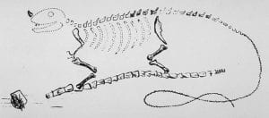 Gideon Mantell's Iguanodon reconstruction, 1834