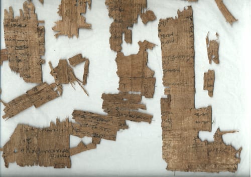 Fragments of papyrus UC55894