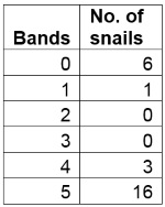 snail_audit