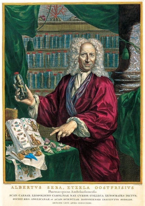 Portrait of Albertus Seba. 1731. Jacobus Houbraken after Jan Maurits Quinkhard