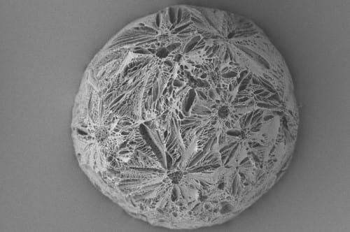 Highly porous polymer microparticle made using a Thermally Induced Phase Separation process, 200 microns in diameter, 2015. Courtesy Dr Richard Day, UCL.