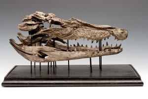 LDUCZ-X121 exploded skull of Crocodylus porosus (saltwater crocodile)