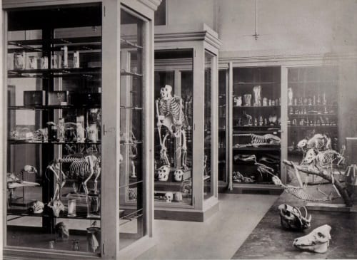Grant Museum in the 1880's
