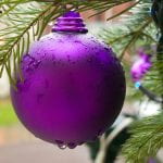 • Image by UCL Media Services on UCL imagestore. A close up of a bright purple bauble on a tree with some blue lights
