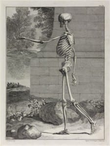 Anatomical Study of a Skeleton with its Left Arm Raised Walking to the Left, Simon Francis Ravenet the Elder (1706-1774)