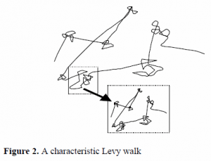 Diagram of a Levy walk.