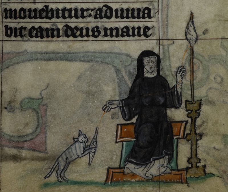 A cat playing with nun's spindle