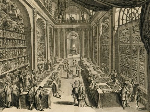 Aristocratic visitors handle objects and books in a Dutch cabinet of curiosities, Levinus Vincent, Illustration from the book, Wondertooneel der Nature - a Cabinet of Curiosities or Wunderkammern in Holland. c. 1706-1715 (Image credit: Universities of Strasbourg)