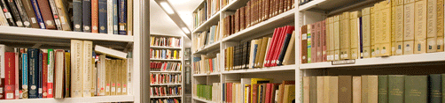 Research_-_Library_Shelves