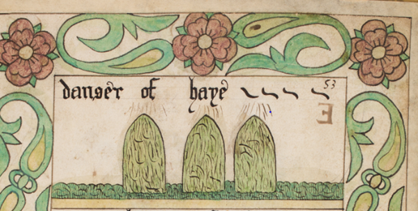 A close up from a manuscript. Elizabethan illustration of hay with the words 'dangers of hay' above.